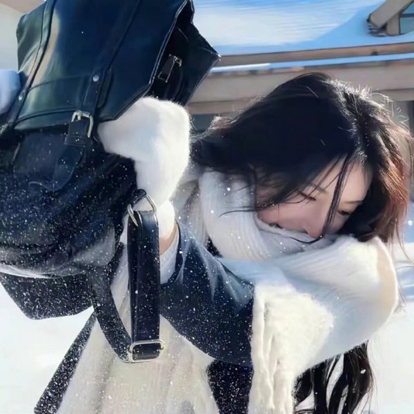 双镯