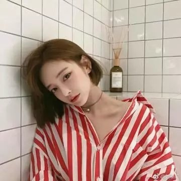 踏雪寻熊